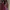 ZARA Vintage Maxi Dress Wanita Navy Red
