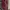 ZARA Vintage Maxi dress Wanita navy red photo 3