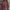 ZARA Vintage Maxi dress Wanita navy red photo 6