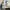 Adidas Sportswear Sneakers Pria white photo 1