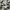 Nike Sportswear Casual Sneakers Pria multicolor black photo 6