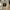 Off-White Streetwear Luxury Hoody Pria White