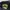 Avirex Vintage Sweatshirt Pria navy photo 2