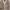 Vintage Y2K Cardigan Wanita brown black photo 5