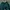 Nike Vintage Luxury Windbreaker Pria green photo 1