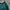 Nike Vintage Luxury Windbreaker Pria Green