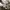Japanese brand Avant Garde Parka Pria cream black photo 4