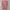 Vintage Casual Vest Wanita pink photo 3