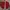 Vintage Bomber jacket Pria red photo 1