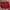 Vintage Bomber jacket Pria red photo 2