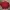 Vintage Bomber jacket Pria red photo 8