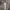 Casual Track jacket Pria gray photo 1