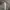 Casual Track Jacket Pria Gray