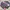 Japanese brand Y2K Sportswear T-shirt Pria pink black photo 2