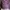 OiOi Vintage Casual Fleece Pria purple gray photo 5