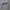 Nike Sportswear Jersey Pria white photo 4