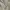 Vintage Casual Harrington jacket Pria tan photo 5