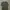 Stussy Vintage Streetwear T-shirt Pria khaki photo 3