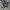 Stussy Vintage Streetwear T-shirt Pria khaki photo 2