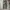 Japanese brand Casual Casual pants Pria green photo 2