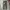 Japanese Brand Casual Casual Pants Pria Green