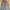 Carhartt Vintage Casual Leather jacket Pria gray photo 1