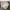 Japanese brand Indie Windbreaker Pria silver gray photo 2