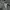 Burberry Vintage Polo shirt Pria gray photo 7