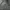 Burberry Vintage Polo shirt Pria gray photo 3