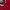 Burberry Vintage Polo shirt Pria red photo 2