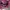 Uniqlo Casual Casual shirt Pria burgundy red photo 4