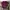 Uniqlo Casual Casual shirt Pria burgundy red photo 1