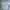 Polo Ralph Lauren Casual Formal shirt Pria white blue photo 2