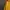 Nike ACG Y2K Gorpcore Harrington Jacket Pria Yellow