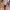 Indie Casual Formal shirt Pria cream photo 4