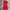 The North Face Casual Casual Dress Wanita Red
