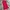 The North Face Casual Casual dress Wanita red photo 3