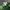 Streetwear Sportswear Hat Pria green photo 6