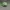 Streetwear Sportswear Hat Pria green photo 4