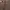 Burberry Minimalist Casual Sweatshirt Pria brown photo 4