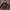 Burberry Minimalist Casual Sweatshirt Pria Brown