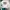 Dickies Casual Sweatshirt Pria white photo 1