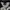 Kappa Vintage Sportswear Jersey Pria white black photo 5