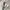 Nike Streetwear Sportswear Windbreaker Pria white black photo 7