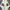 Gucci Casual Sneakers Wanita white photo 6