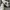 Gucci Casual Sneakers Wanita white photo 1