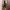 The North Face Gorpcore Sportswear Windbreaker Pria black photo 2