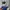 Blackyak Gorpcore Sportswear Windbreaker Pria navy blue photo 4