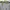 Blackyak Gorpcore Sportswear Windbreaker Pria navy blue photo 6