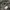 Nike Streetwear Sportswear Pria gray photo 4